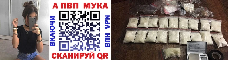 A PVP СК  Мезень 